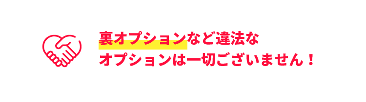 オプションは一切ありません